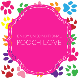 q-enjoy-pooch-love