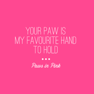 Your paw is my favourite hand