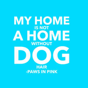 My home is not a home without a dog