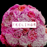 Feelings 2