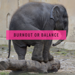 Burnout or Balanced