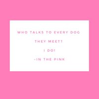 Who talks to every dog they meet?